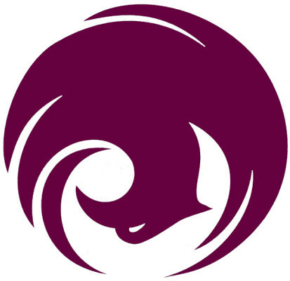 Phoenix 101: What went wrong