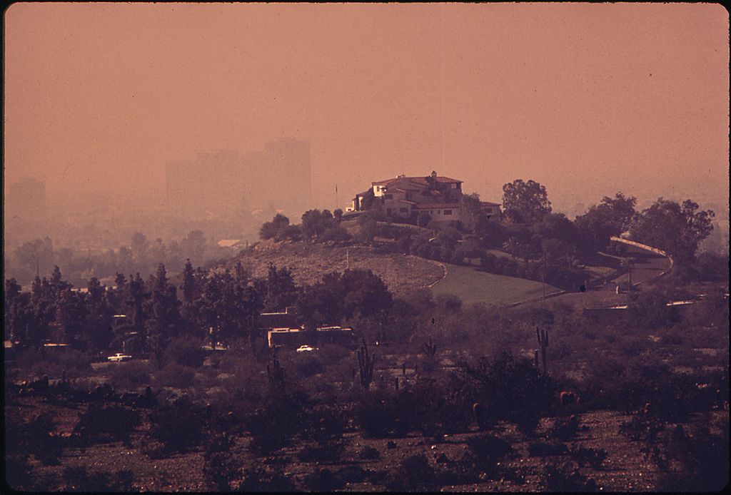 The ideology of the cancer cell