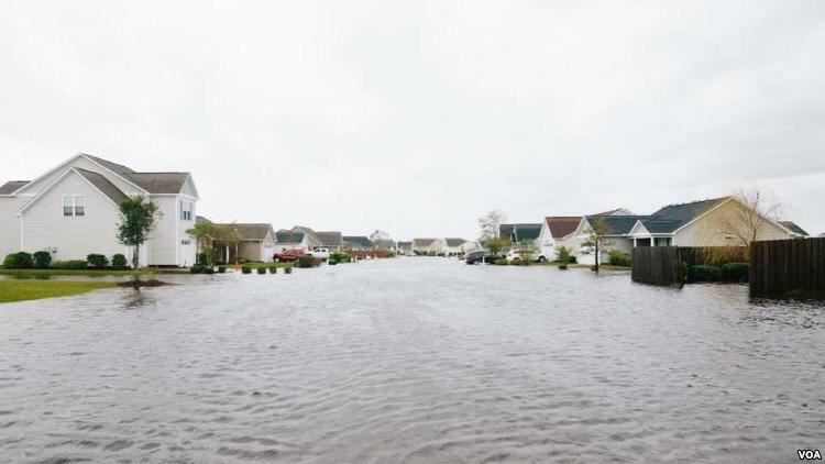 ‘No hurricanes in Arizona!’