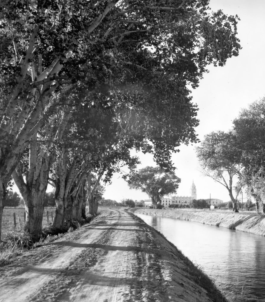 Arizona ends and odds